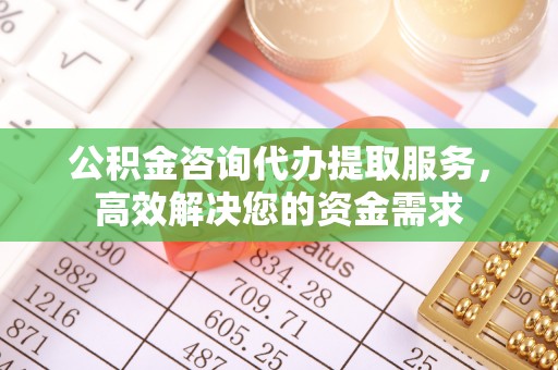 资溪公积金咨询代办提取服务，高效解决您的资金需求