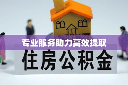 资溪专业服务助力高效提取