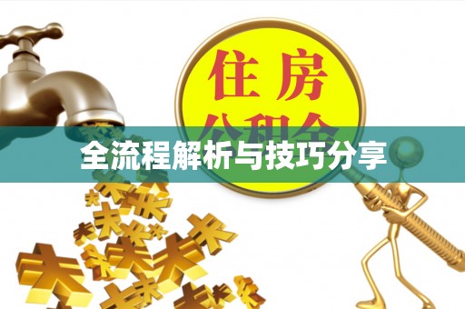 资溪全流程解析与技巧分享
