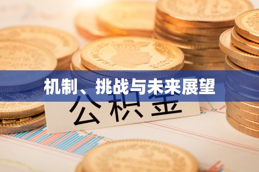 资溪机制、挑战与未来展望