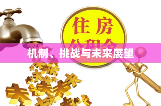 资溪机制、挑战与未来展望
